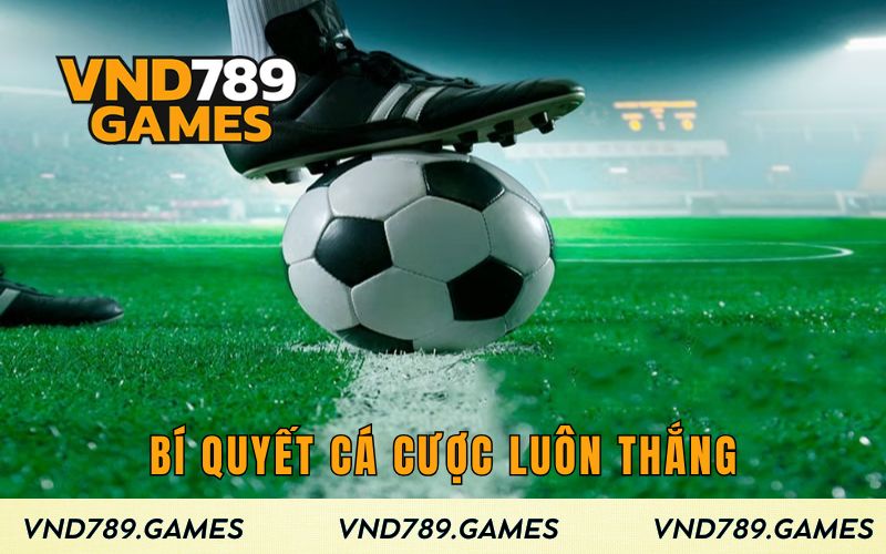 Bí quyết cá cược luôn thắng khi chơi kèo Ma Cau
