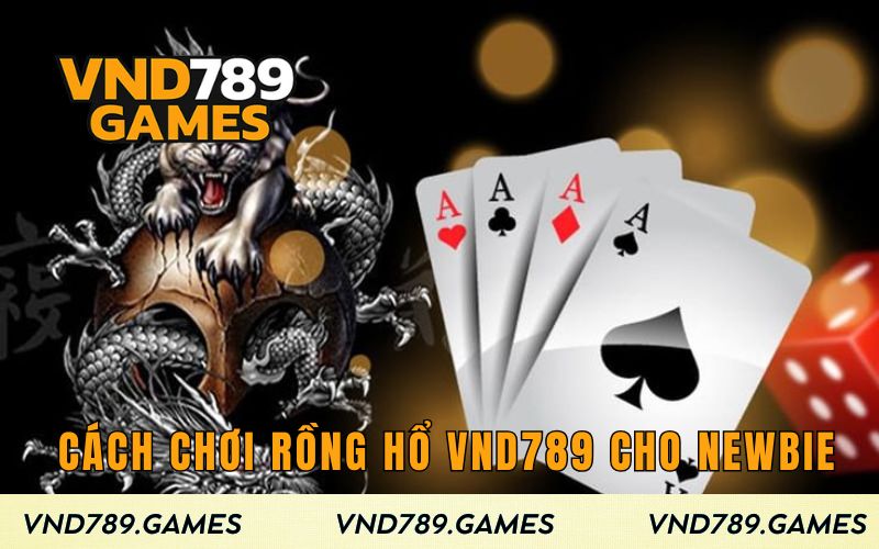 Hướng dẫn cách chơi Rồng Hổ VND789 cho newbie