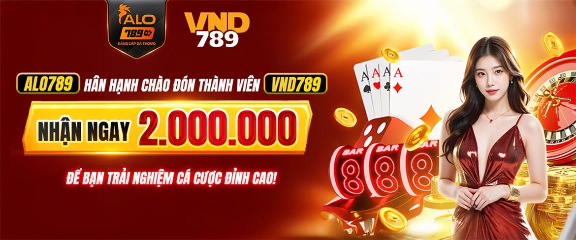 Banner 3 VND789